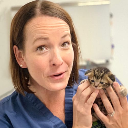 Jennifer Wardlaw, veterinary team member at Gateway Veterinary Surgery in Affton, MO