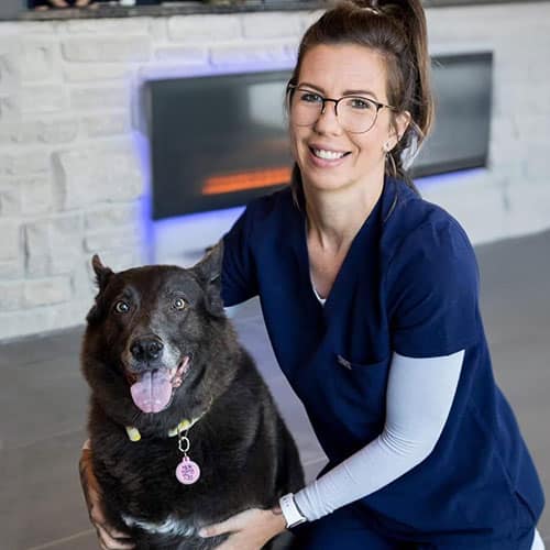 Tara White, veterinary team member at Gateway Veterinary Surgery in Affton, MO