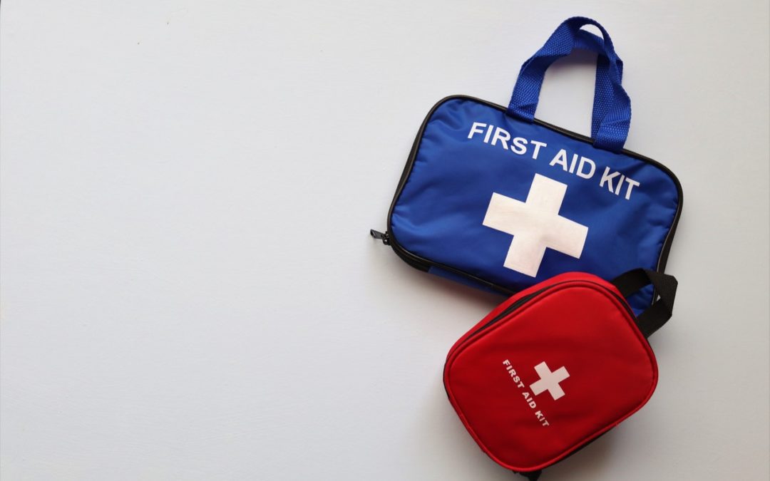 It Pays to Be Prepared: How to Pack a Pet First Aid Kit