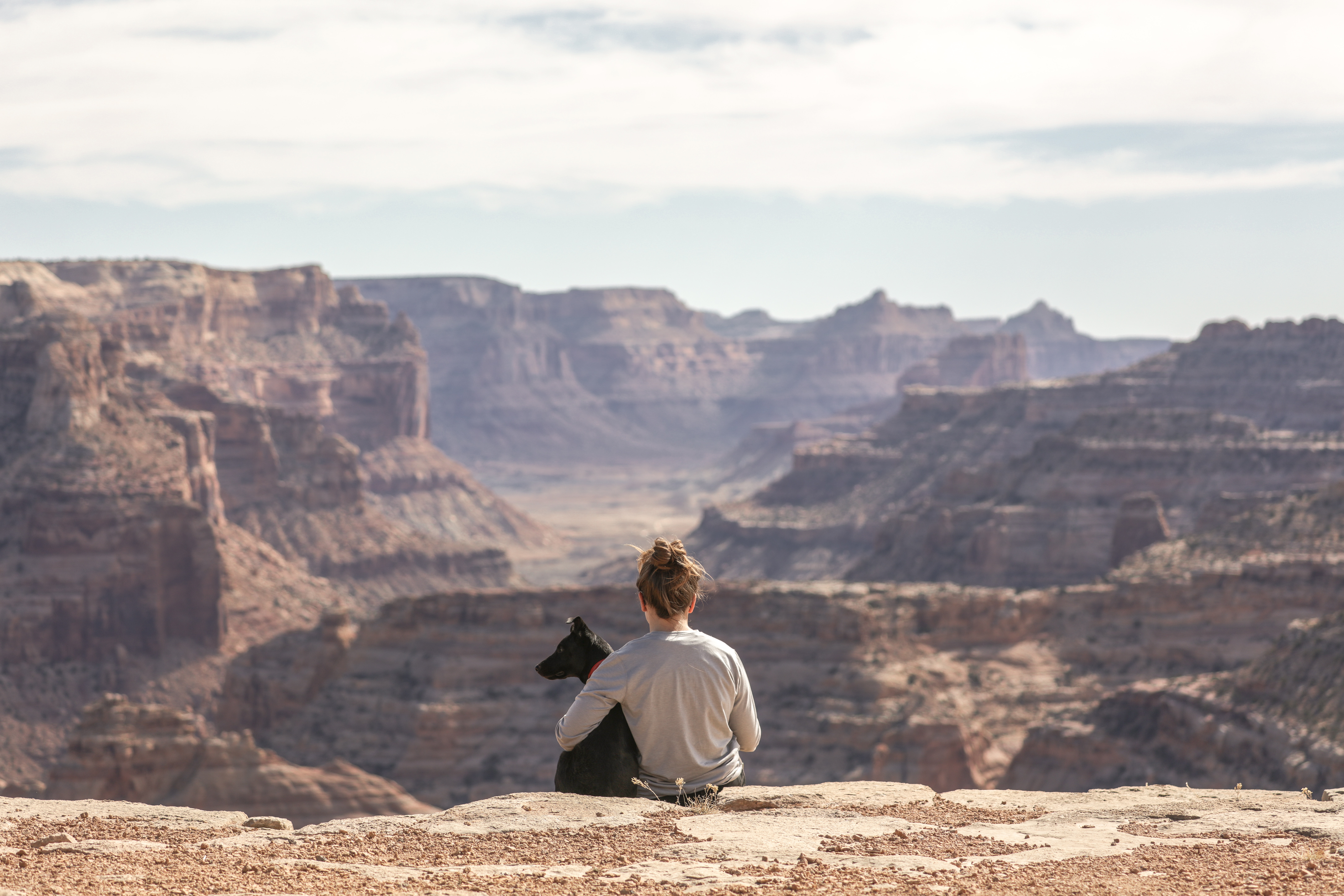 Dog and its owner sitting over a cliff overlooking a canyon.